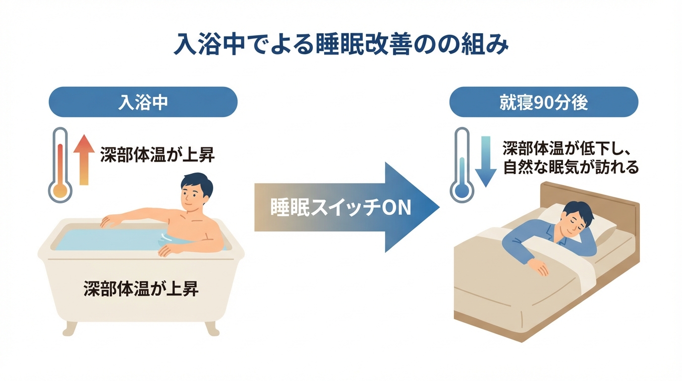 入浴による深部体温の変化と入眠のメカニズムを示した図解。入浴で体温が上がり、その後下がることで睡眠スイッチが入る様子が描かれている。