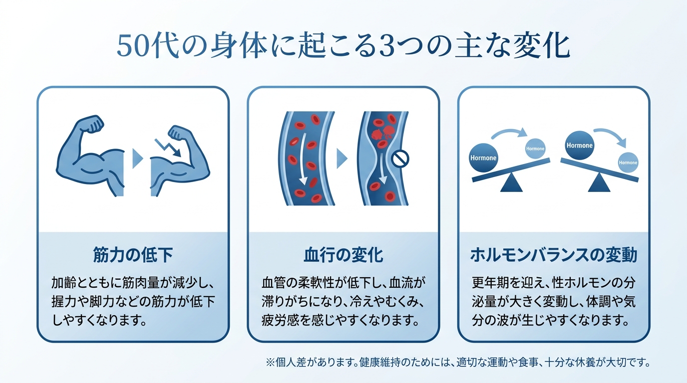 50代の身体に起こる3つの変化を示した図解。筋力の低下、血行の変化、ホルモンバランスの変動という項目がアイコン付きで解説されている。